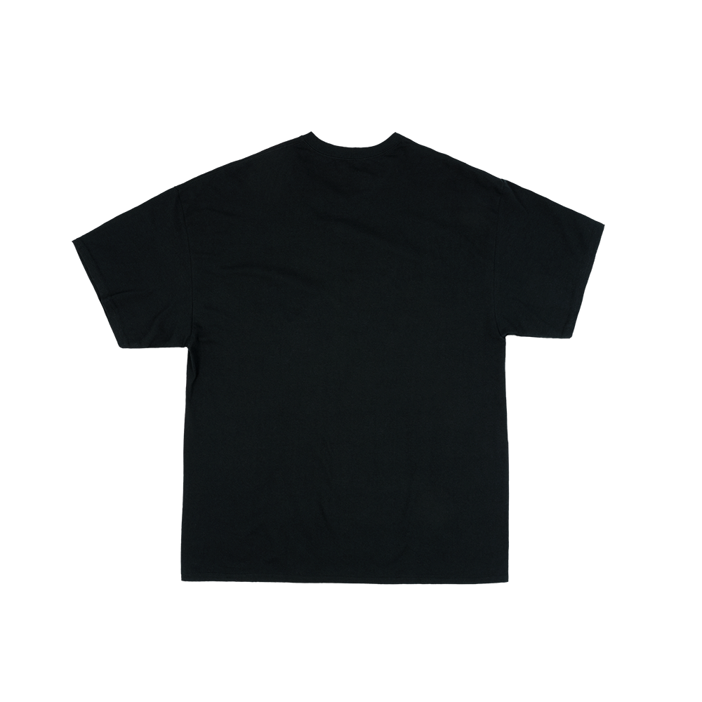 THE FAME MONSTER PHOTO T-SHIRT